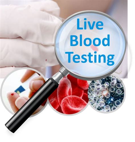 live blood drop test|Live Blood Analysis .